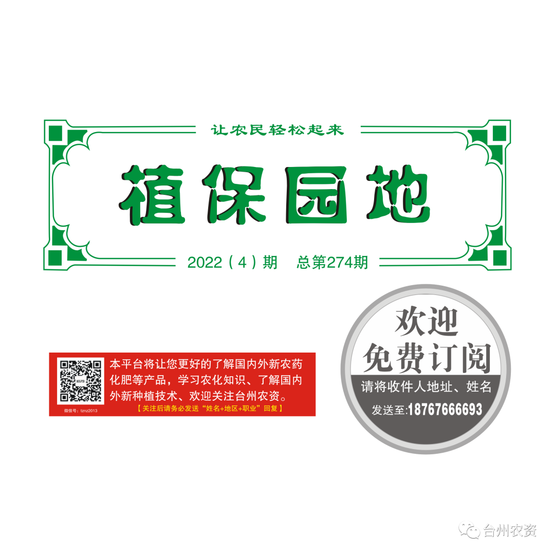 氣溫驟降，大棚西瓜做好以下幾點工作