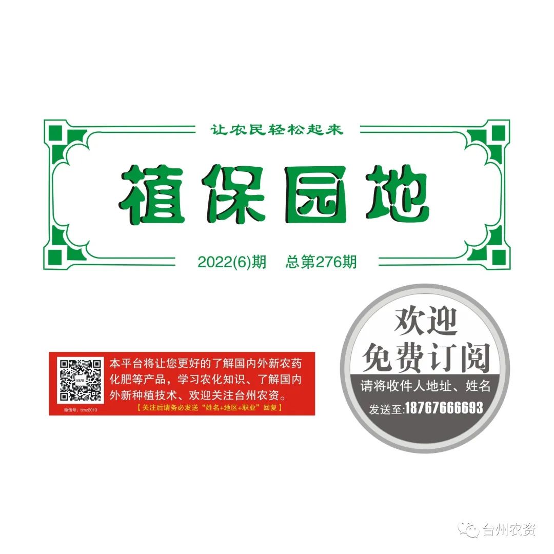 梅雨季節(jié)來臨，柑橘即將穩(wěn)果，注意管理好夏梢，合理施肥打藥